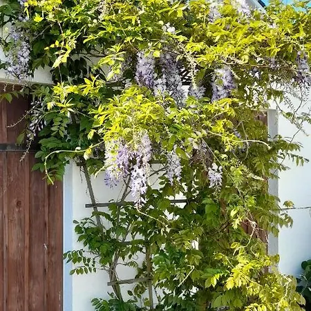 Apartman Strandvilla Merva *